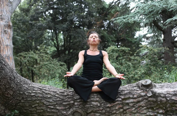 Meditation i skogen — Stockfoto