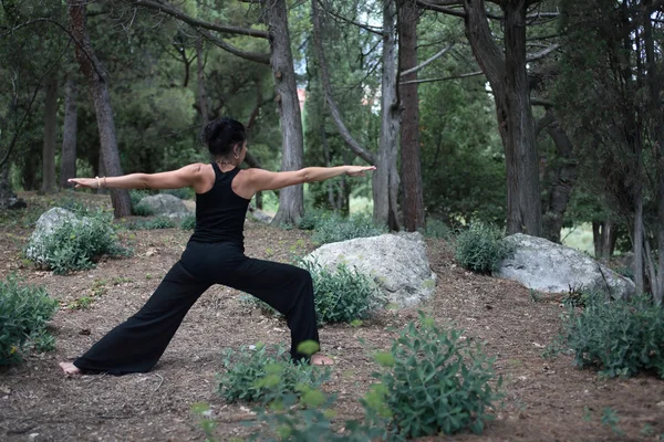 Yoga i skogen — Stockfoto