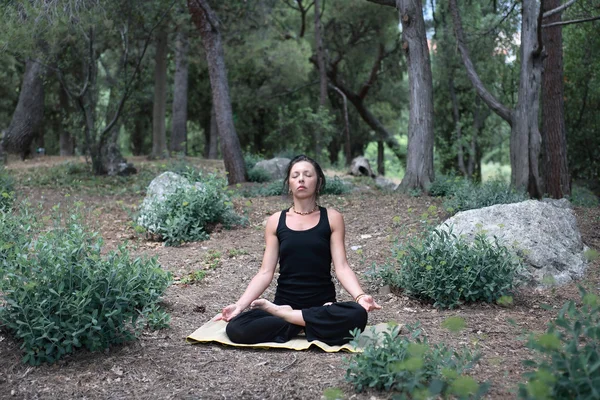 Yoga na floresta — Fotografia de Stock