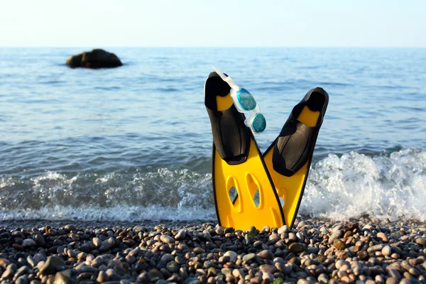 Flippers in de buurt van zee — Stockfoto