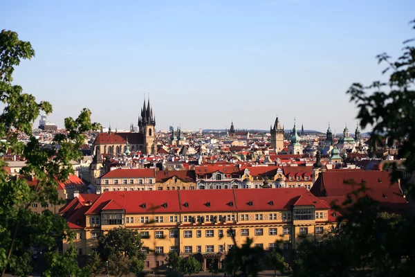 Zomerdag in Praag — Stockfoto