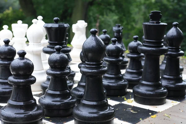 stock image Chess After Rain