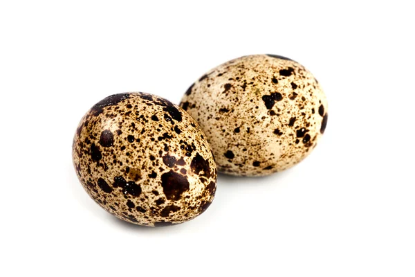 Dois ovos de codorna — Fotografia de Stock