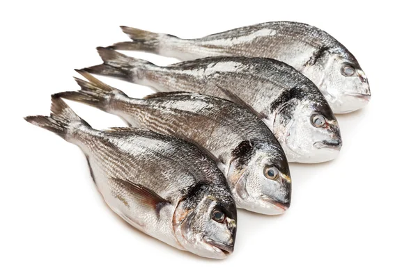 Alimentos para peixes de cabeça dourada — Fotografia de Stock