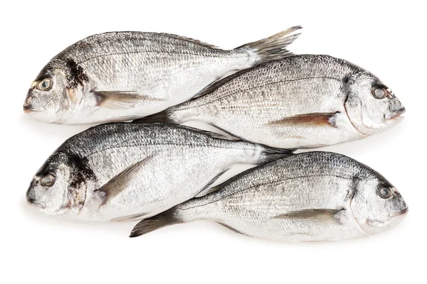 Comida para peces cabeza hueca —  Fotos de Stock