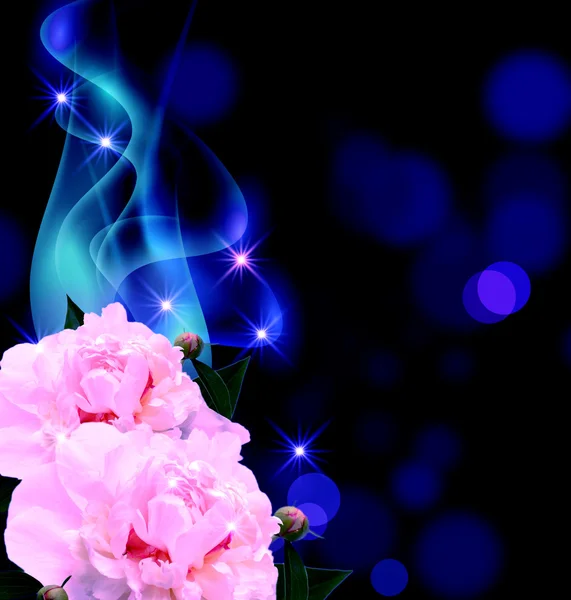 Pünkösdi rózsa és a füst — Stock Fotó