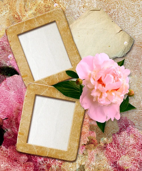 Grunge frames with peony and paper — Stock Photo, Image