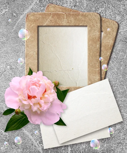 Grunge frame with peony and paper — Stock Photo, Image