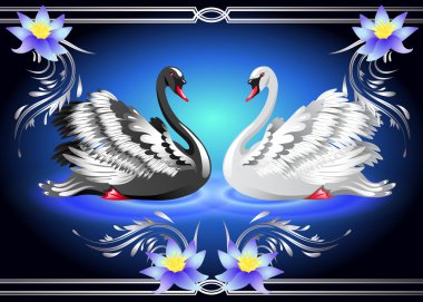 White and black swan and lilies clipart