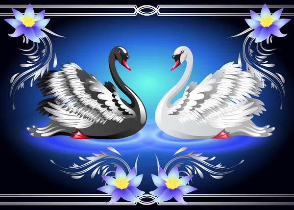 Белый и черный лебедь и лилии — стоковый вектор