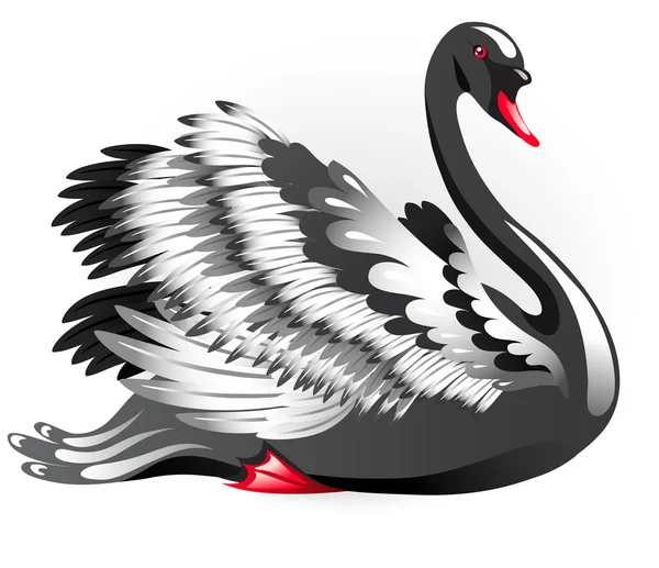 Cisne preto elegante — Vetor de Stock