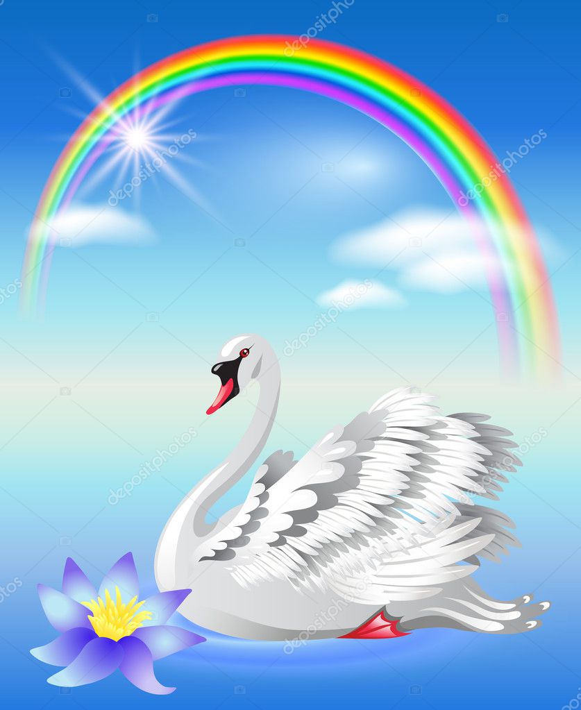 Swan and rainbow
