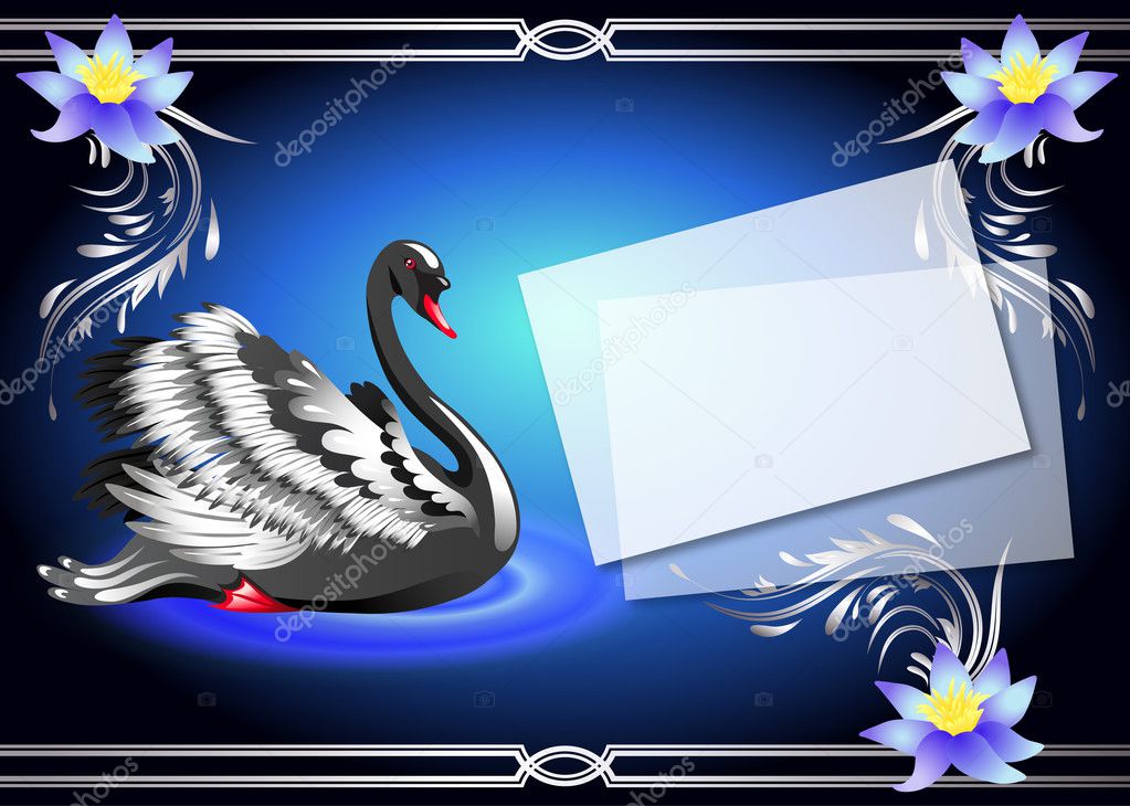 Black swan on blue background and paper for your text
