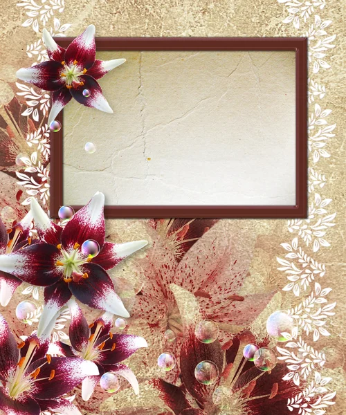 Ramka na zdjęcia z lily — Zdjęcie stockowe