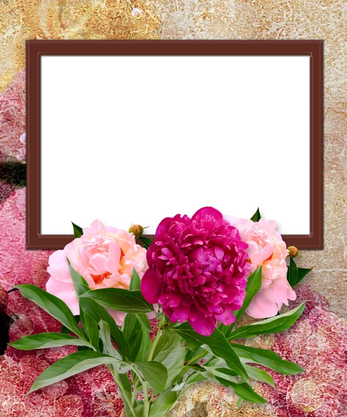 Pünkösdi rózsa és Fénykép keret — Stock Fotó