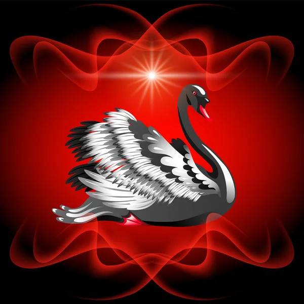 Elegante cisne negro — Archivo Imágenes Vectoriales