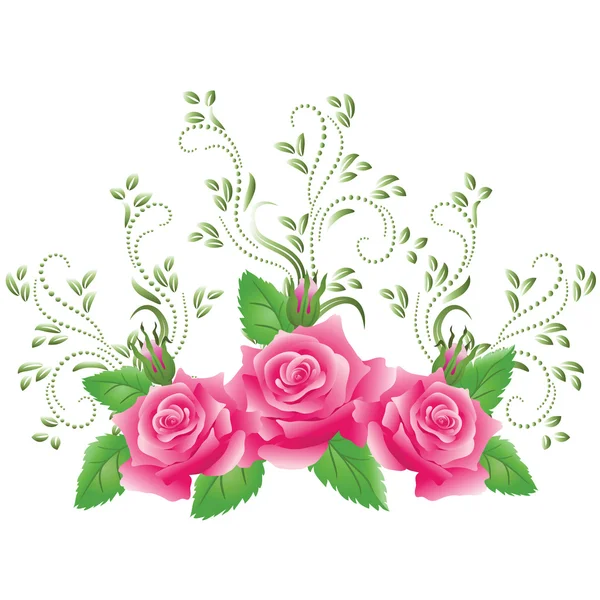 Růžové růže — Stockový vektor