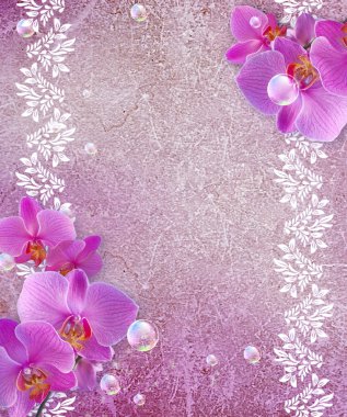 Orchid and openwork frame clipart