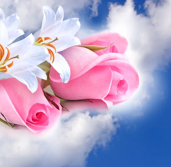 Růžové růže a lilie v oblacích — Stock fotografie