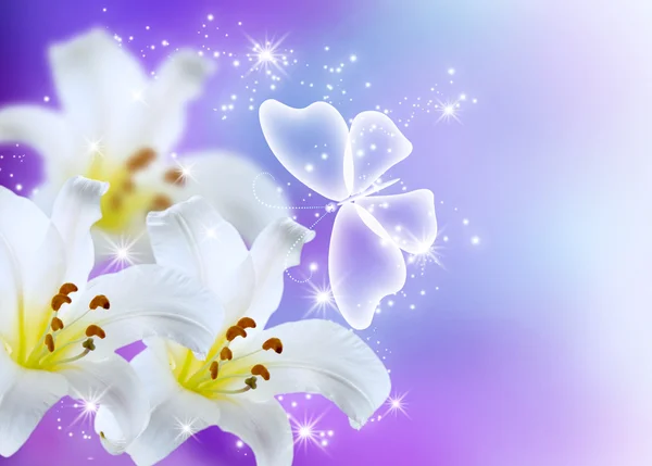 Lilien blühen — Stockfoto