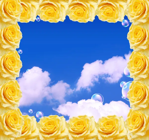 stock image Roses frame and blue sky