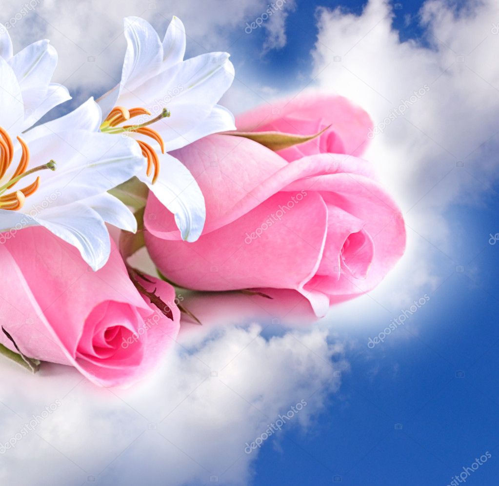 Pink roses and lilies in the clouds