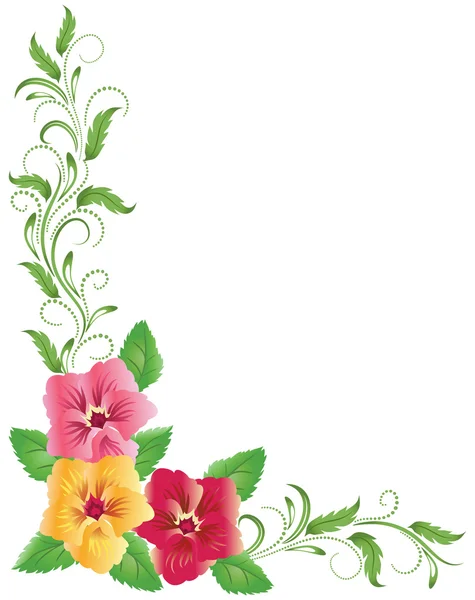Culottes roses et jaunes — Image vectorielle