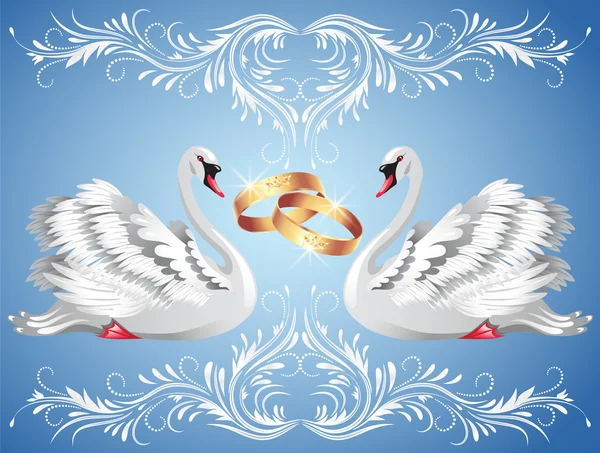 Anillos de boda y dos cisnes — Vector de stock