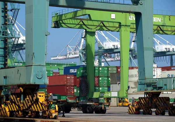 Kaohsiung konteyner terminali — Stok fotoğraf