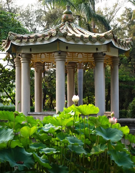 Κινέζικο περίπτερο σε έναν κήπο lotus — Φωτογραφία Αρχείου
