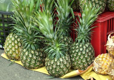 büyük yeşil ananas