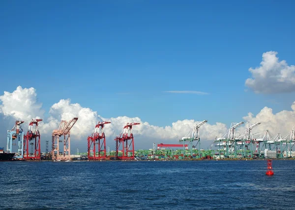 Container kranen in kaohsiung haven — Stockfoto