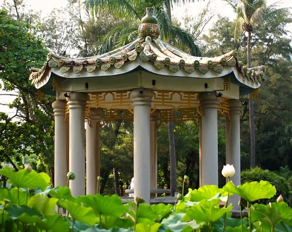 Kinesiska paviljongen i en lotus blomma trädgård — Stockfoto