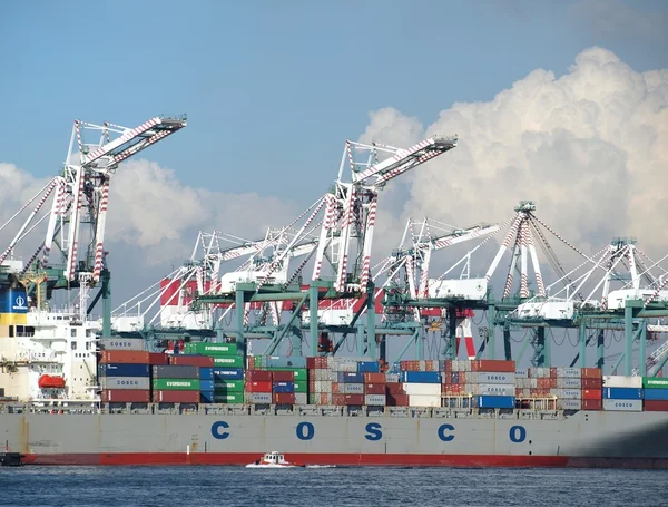 Grote container terminal met kranen — Stockfoto