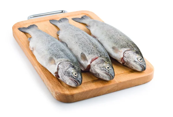 Three trout fish isolated on the white background — Stock Photo, Image