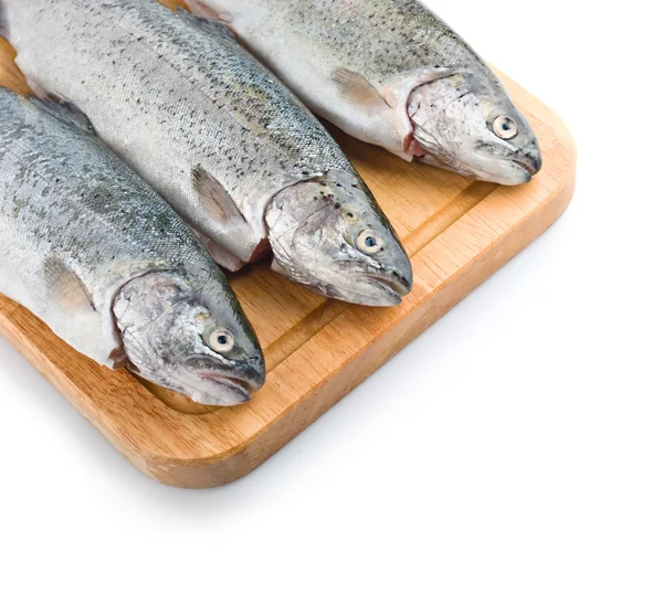 Three trout fish on the white background — Stock Photo, Image