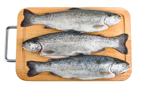 Три форелі риби ізольовані на білому тлі — стокове фото