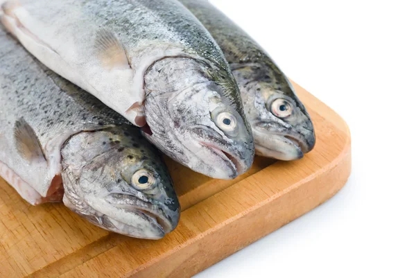 Fresh fish heads in a row on wooden board — Stock Photo, Image