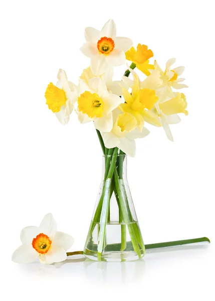 Glass vase with daffodils — Stock Photo, Image