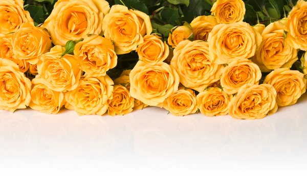 고립 된 노란 장미 꽃다발 — 스톡 사진