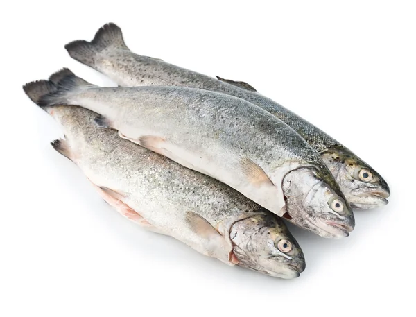 Three fresh trout fish isolated — Stock Photo, Image