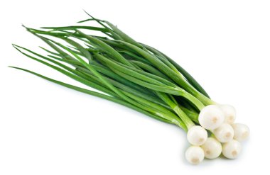 Green Onion on white background clipart