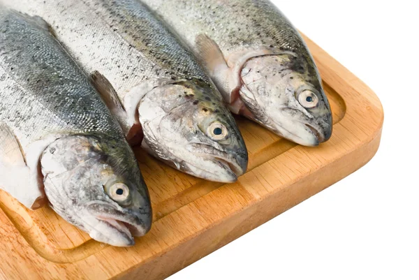 Three trout fish isolated — Stock Photo, Image