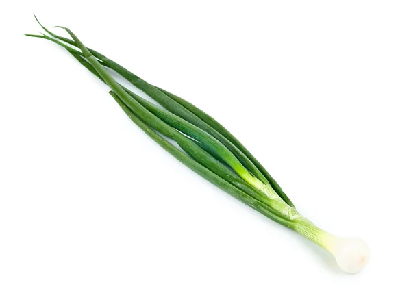 Zelené cibule na bílém pozadí — Stock fotografie