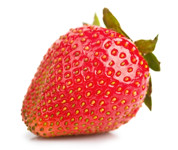Φρέσκο κόκκινο φράουλα — Φωτογραφία Αρχείου