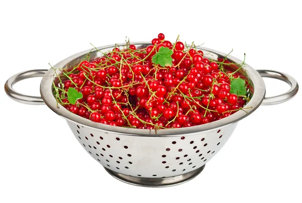 Grosella roja fresca en colador —  Fotos de Stock
