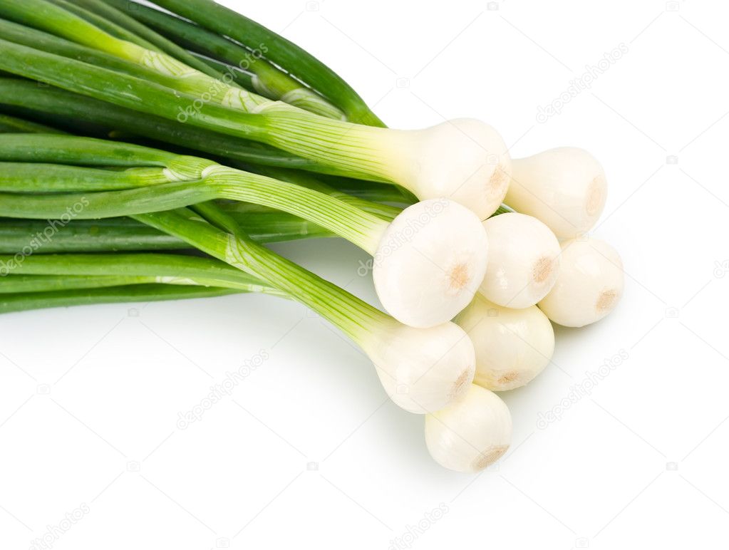 Green Onion close-up on white background