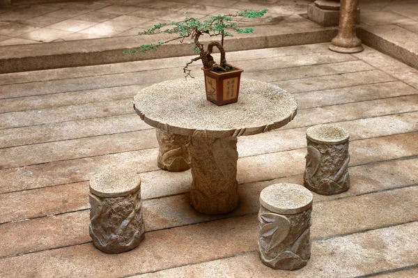 stock image Bonsai plant on table