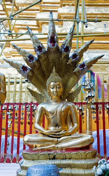 Guld buddha statyer — Stockfoto