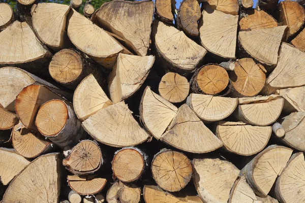 Drewno opałowe. — Zdjęcie stockowe